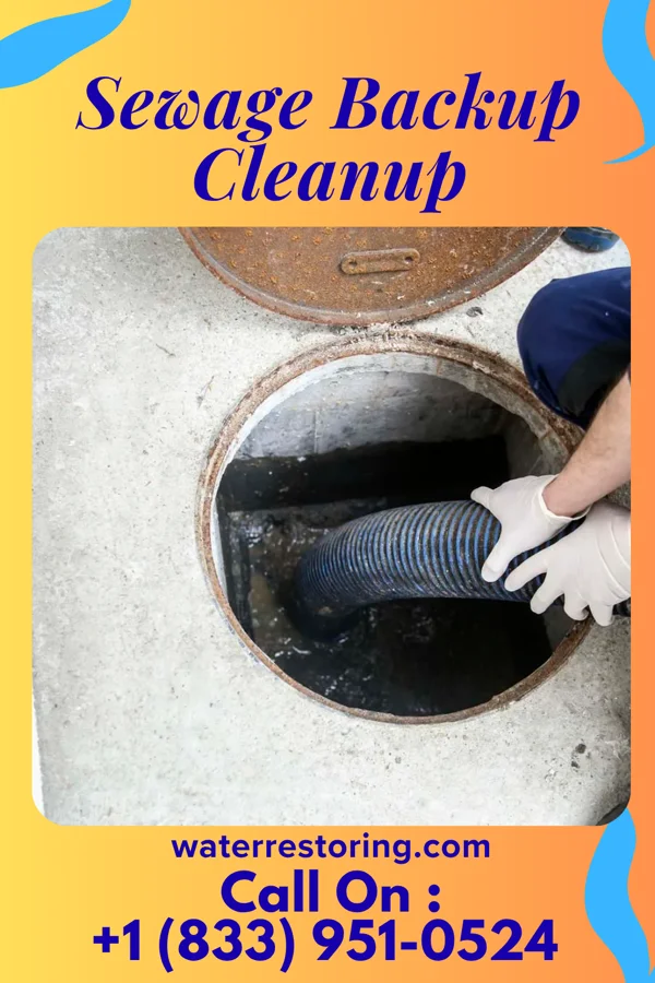 Sewage Backup Cleanup in Turnersville, NJ