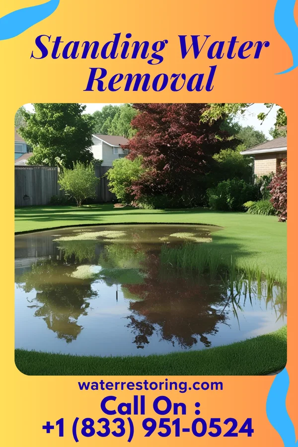 Standing Water Removal in Turnersville, NJ